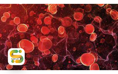 Hematology Photo5